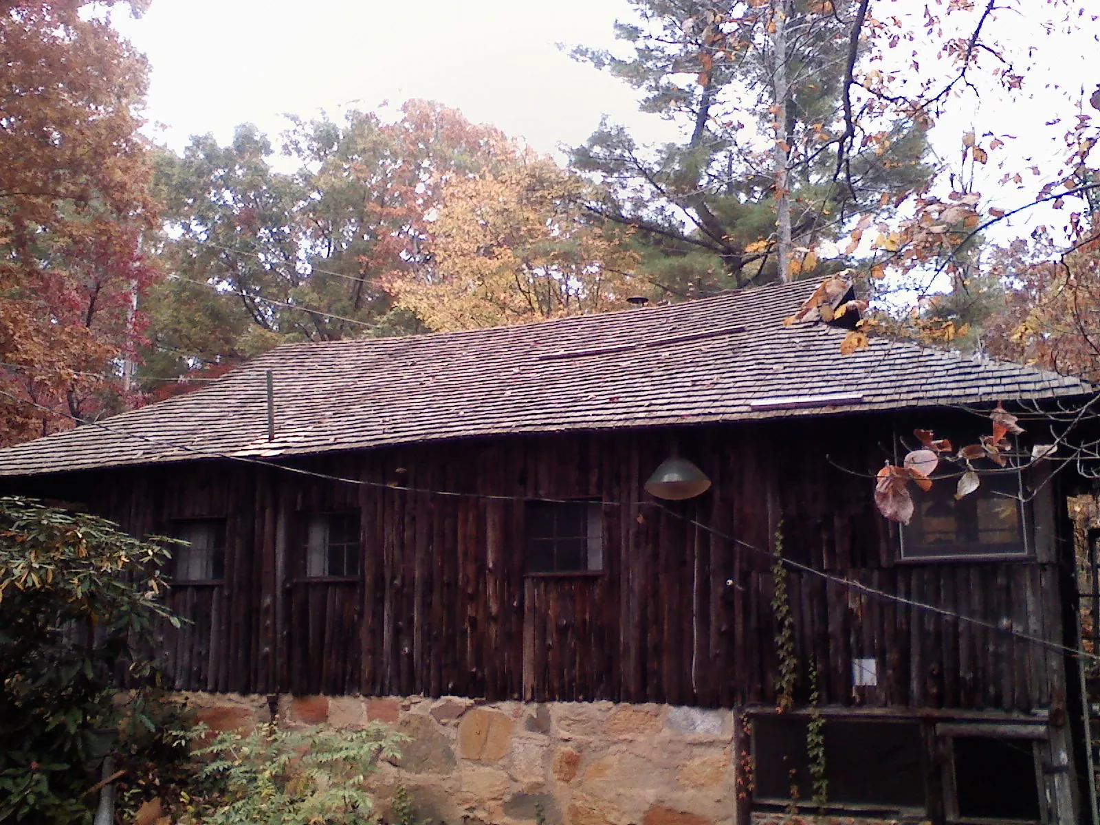 Weathered wood shake roof on a rustic board sided cabin in Henning